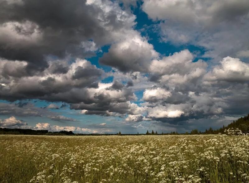 Смена погоды. Пасмурно жаркий. Слоисто дождевые облака. Пасмурно жаркий. Облачно пасмурно.