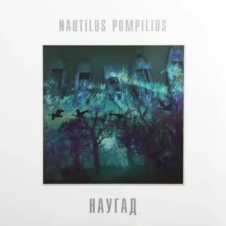 Hаутилус 2024