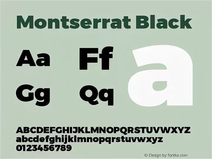 Montserrat medium шрифт. Montserrat Black. Montserrat шрифт. Montserrat кириллица. Montserrat контурный шрифт.