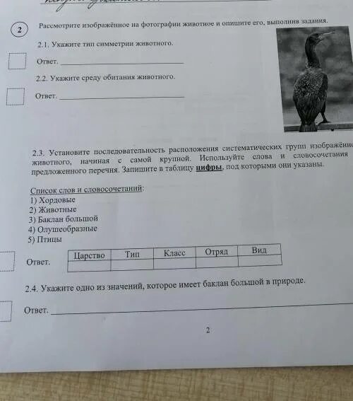 Укажите тип симметрии животного укажите среду. Укажите Тип симметрии и среду обитания животного.. Укажите Тип симметрии животного укажите среду обитания животного. Рассмотрите изображённое на фотографии животное и опишите его. Рассмотрите фотографию и выполните задания.