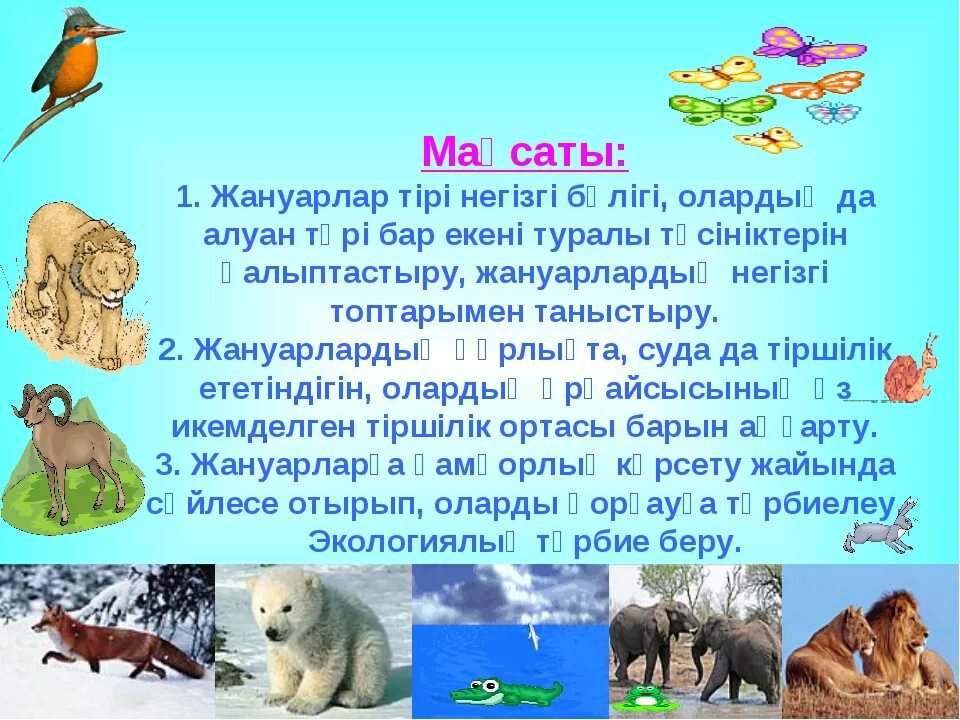 Жануарлар мен. Жануарлар дүниесі презентация. жануарлар алеми презентация. жануарлар классификациясы презентация. сабақ жоспары зоология презентация.