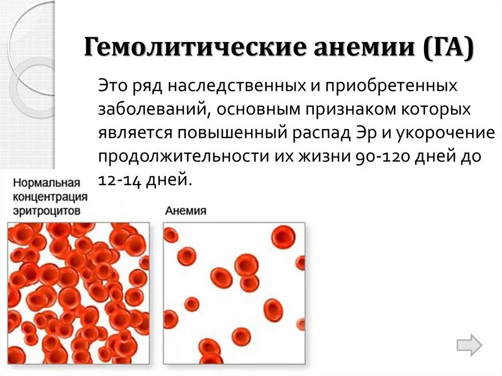 Заболевание разрушение эритроцитов. Заболевание разрушение эритроцитов