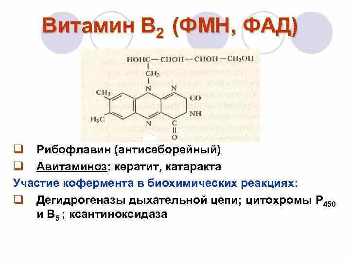 Коферментом витамина в2 является. Витамин в2 рибофлавин кофермент. реакции с участием витамина в2.