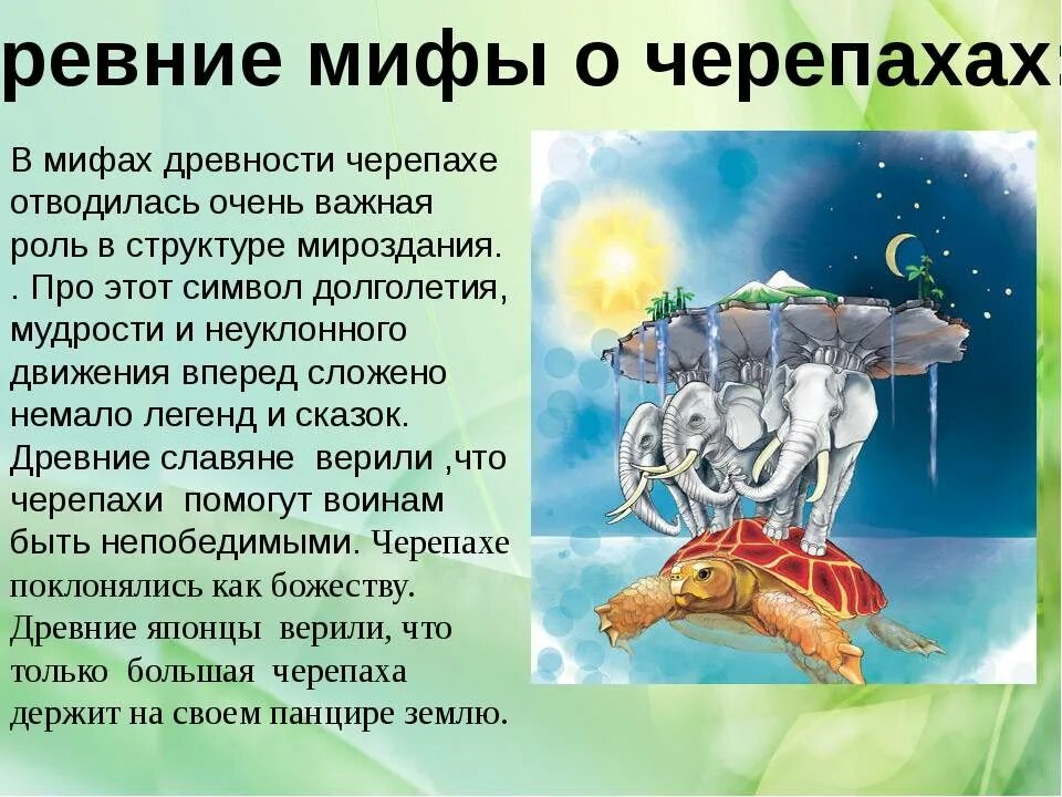 Окружающее миф. Окружающее миф. Предание о животных. Правда или миф. Экологические мифы.