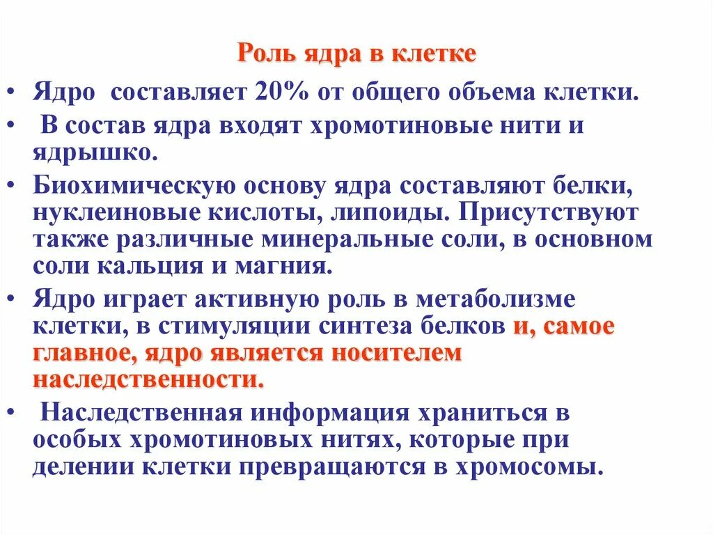 Роль ядра в жизнедеятельности клетки. Ядро его строение и роль в жизни клетки. Роль ядра в жизни клетки. Какое значение ядра в жизнедеятельности клетки