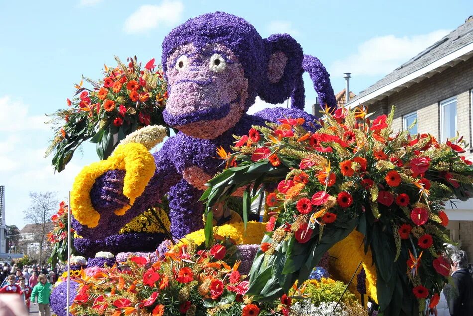 Фестиваль цветов Bloemencorso в Голландии. Фестиваль цветов Блюменкорсо. Парад цветов Bloemencorso в Голландии. Конкурс цветов (bloemen Corso) в Нидерландах 2.