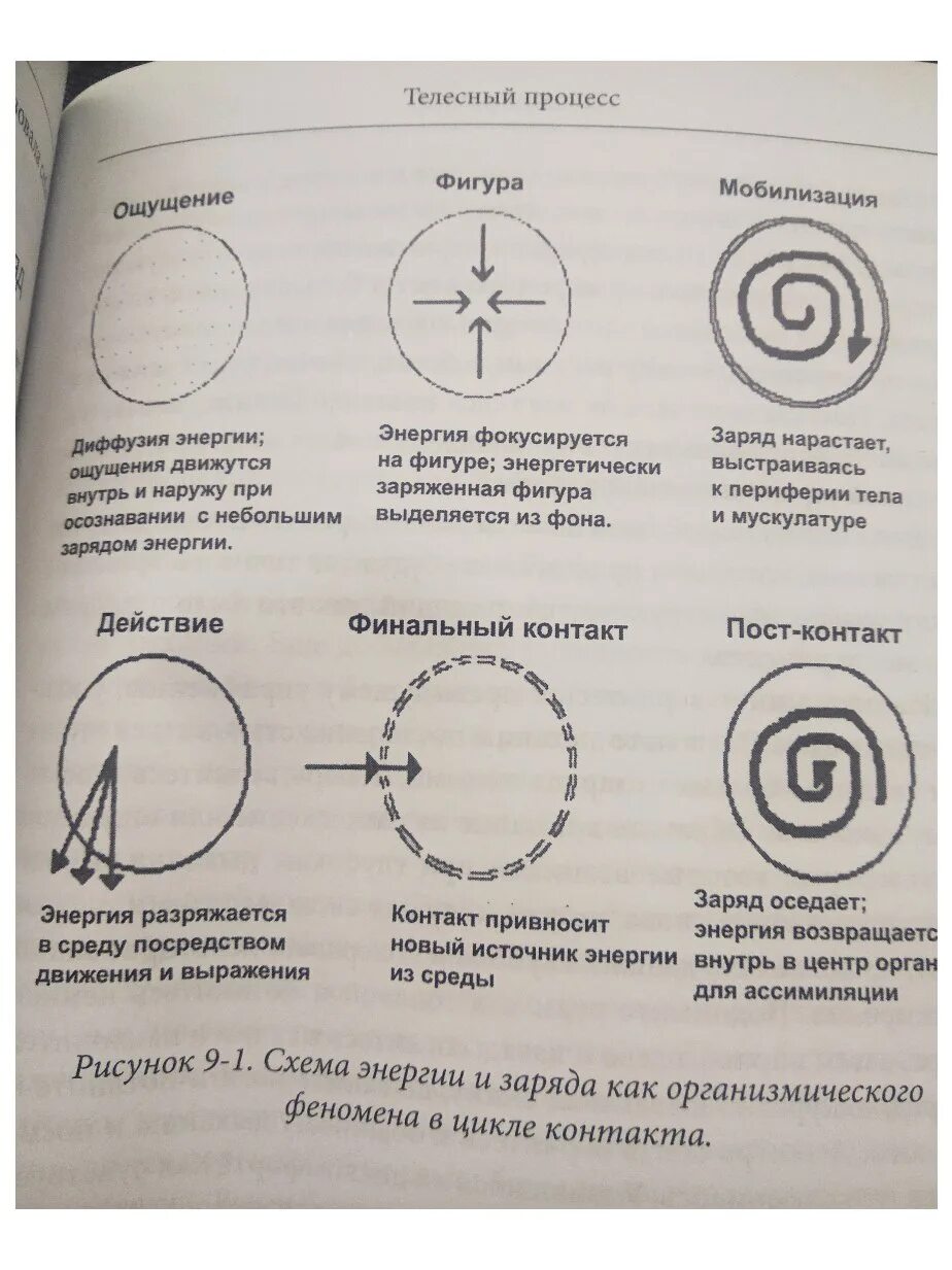 Телесные процессы. Телесные практики. Слоновая кость цвет тонального крема. Телесный практик как это. Телесные практики.