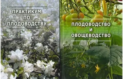Чем занимается плодоводство