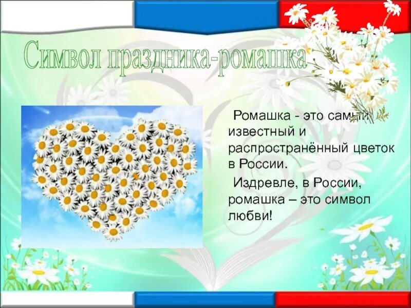 Какой цветок является символом всероссийского дня семьи. Символ праздника 8 июля. Ромашка символ семьи. С днём семьи любви и верности. Ромашки к празднику 8 июля.