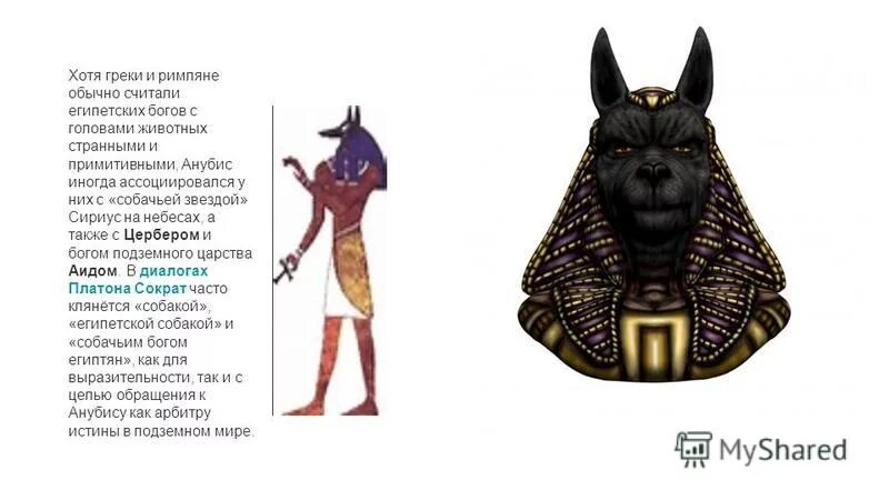 Объясните смысл этого слова словосочетания анубис. Бог с головой собаки. Египетский Бог с головой собаки. Анубис Бог подземного царства. Бог Анубис описание.