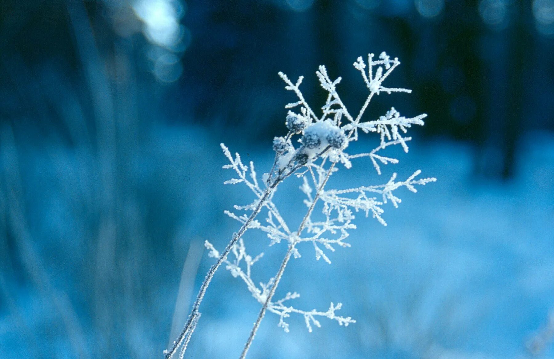 Зима джанкой. Благодаря зиме. Радостная девушка зима. Лето собериха а зима. Снег сугробы.