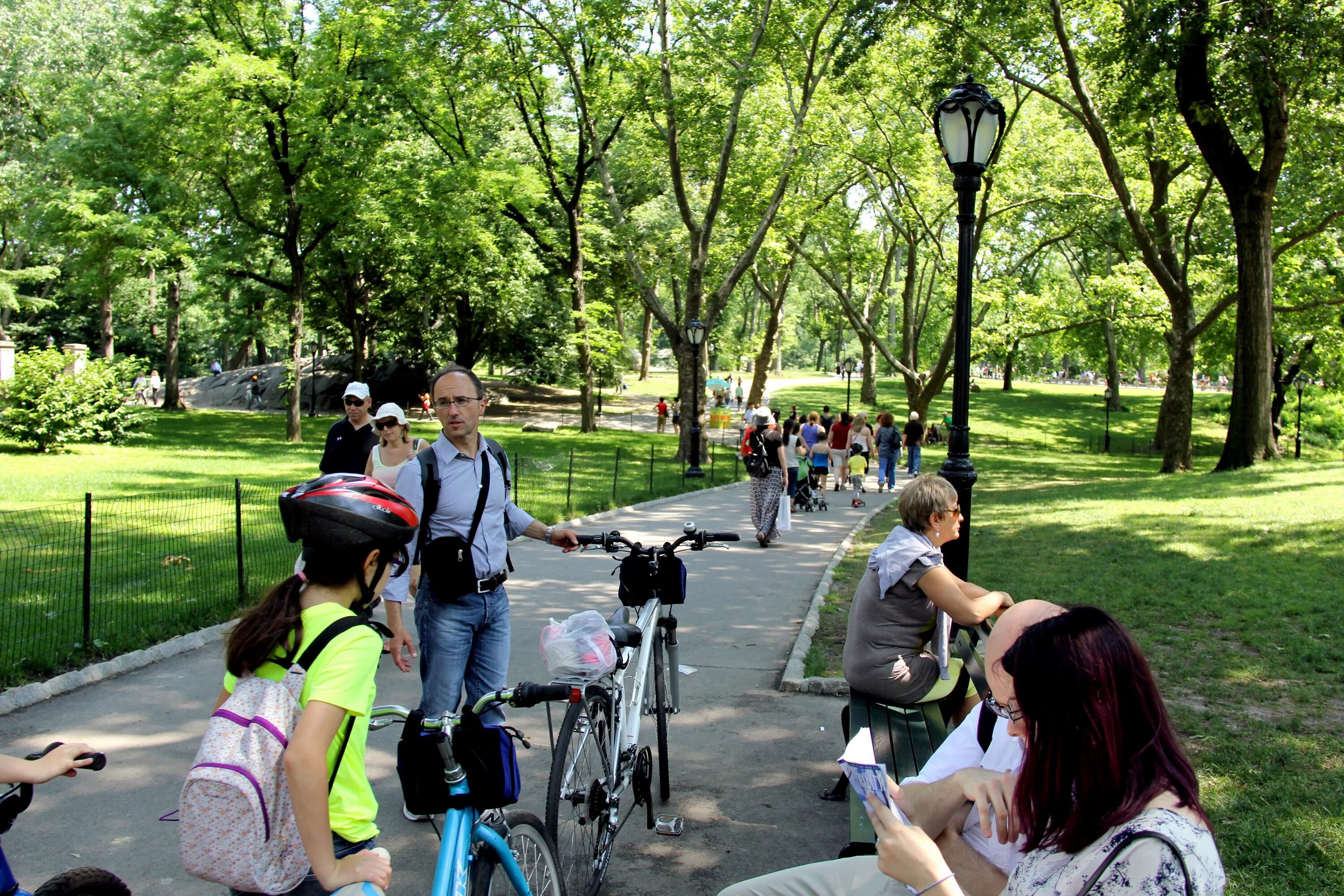 Люди на улице. Люди на улице. Обычные люди на улице. Подик на улице. Люди в парке летом.