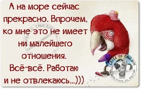 Про жизнь и работу