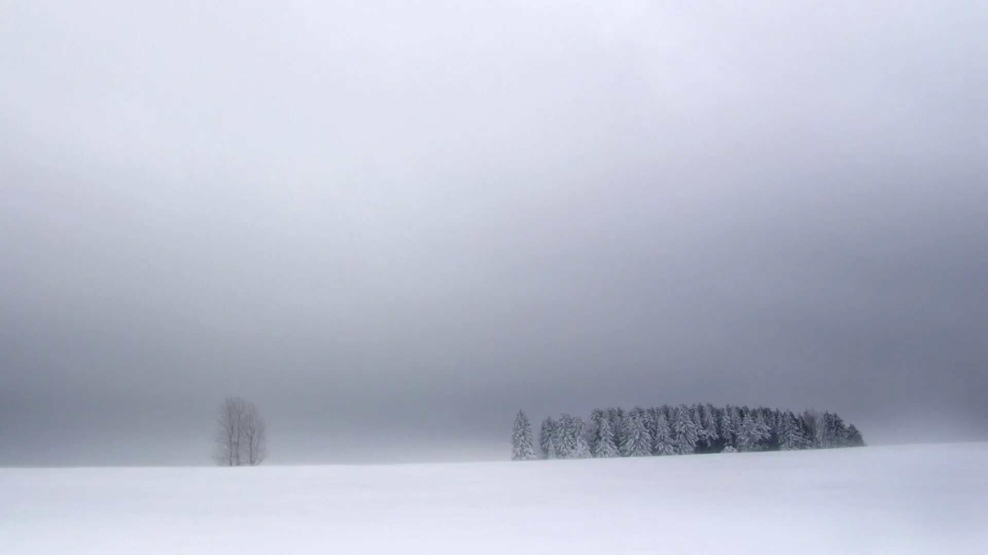 Сугроб туман. Зимнее поле. Серое небо зимой. Зимнее пасмурное небо. Серое зимнее небо.