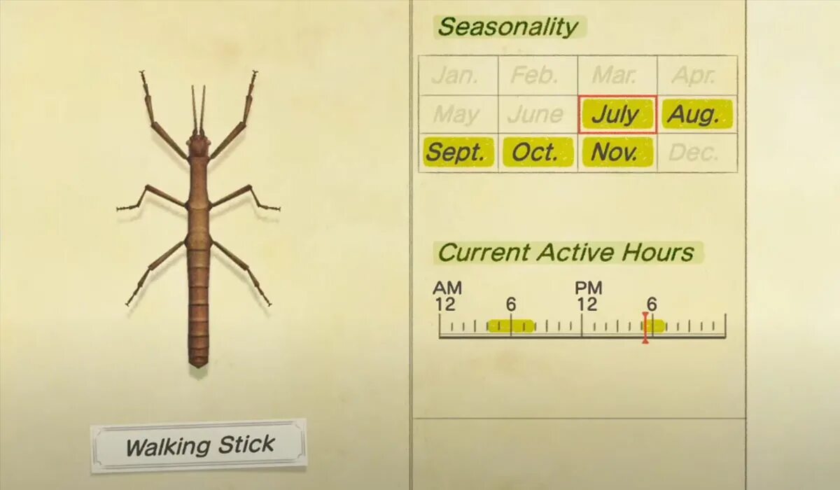 Here are the stick. Animal Crossing Walking Stick. Animal Crossing Stick Bug. Stick for marking animals. Stick Bug Goliaf.