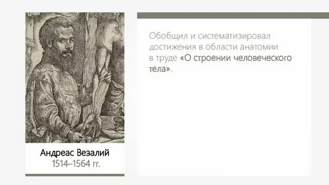 Везалий вклад в биологию