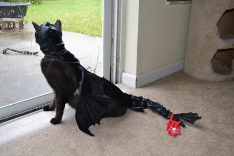 Костюм дракона для кота