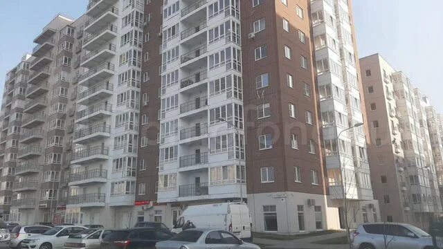 Еременко 110 1. Еременко 110 ростов на дону. еременко 1101 ростов-на-дону. еременко 1102.
