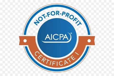 1 audit