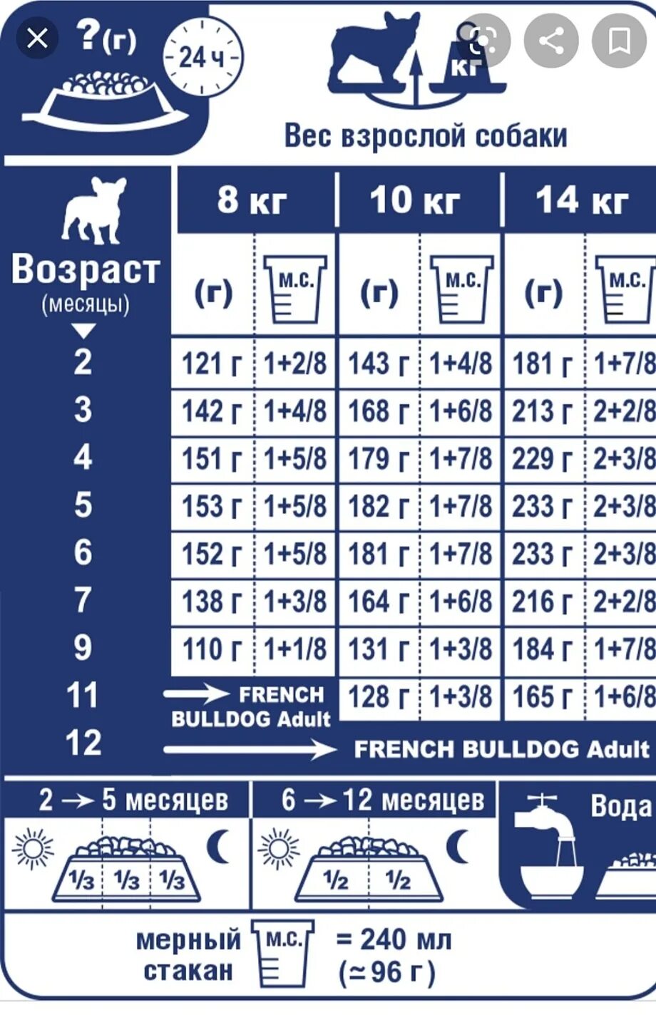 Сколько грамм сухого корма давать щенку. Норма сухого корма для щенка французского бульдога. Норма корма для щенка французского бульдога 2 месяца. Норма сухого корма для щенка французского бульдога 3 месяца. Норма сухого корма для щенков 5 месяцев.