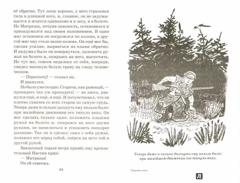 Пришвин кладовая солнца. Пришвин кладовая солнца книга. Пришвин кладовая солнца книга иллюстрации. Рассказ михаила пришвина кладовая солнца