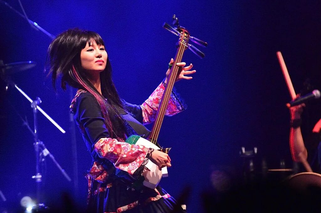 Группа Wagakki Band. Группа Wagakki Band инструменты. Wagakki Band Beni Ninagawa. Wagakki Band ЮКО Судзухана. Concert japan