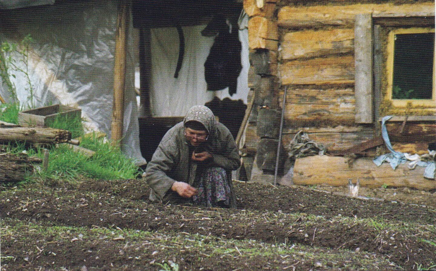 Быт Агафьи Лыковой. Заимка Лыковых в хакасском заповеднике. Быт людей в тайге