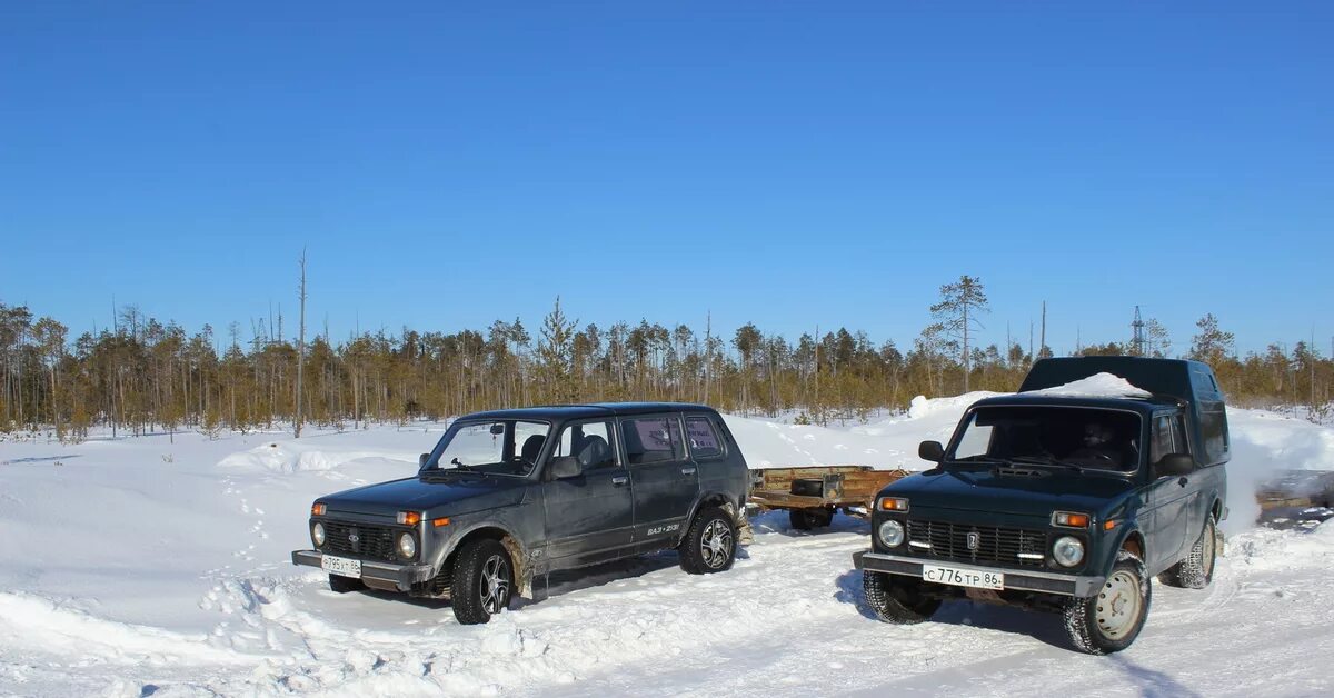 Дром тайга. УАЗ Тайга зимой. Isuzu Тайга. По тайге на Нивах и Карибах. Зима Тайга Приморье трактор.