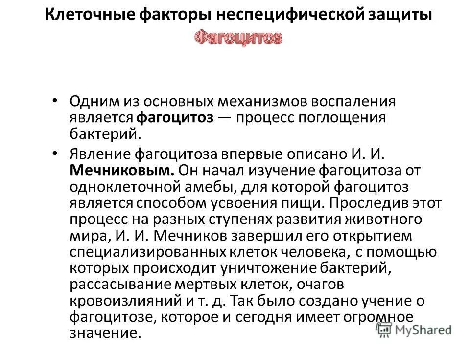 Предусматривали:. Основные законы российской империи от 23 апреля 1906 г. Юрисдикционные иммунитеты иностранного государства. Первый закон о государственном иммунитете был принят. Свод законов 23 апреля 1906 года.