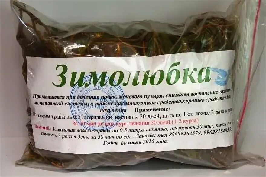 Зимолюбка трава. Зимолюбка применение. Экстракт (лекарственная форма). Экстракт зимолюбки. Сбор трав: зимолюбка.