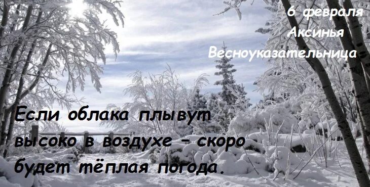06 февраля. Ксения блаженная петербургская 6 февраля с днём ксении. 6 февраля аксиньин день ксения полузимница. Ксения петербургская блаженная 6 февраля день памяти. День бармена 2022.