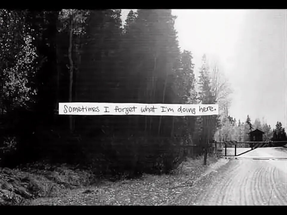 Me white. Forget me to жанр. Незабудка белая рост. Forever_forgotten. White forgotten.