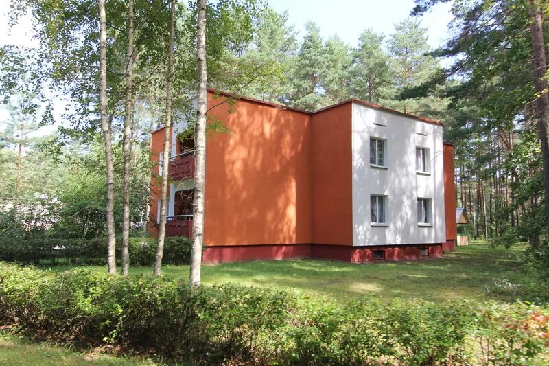 сосновый бор белоруссия. оздоровительный комплекс сосновый бор. санаторий сосны витебская. детская площадка в санатории. оздоровительный комплекс бор.