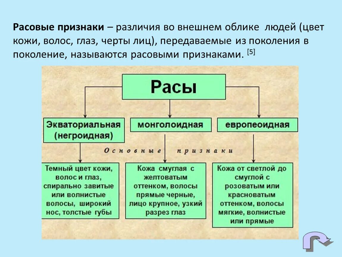 Расовые признаки. Внешние Расовые признаки. Внешние признаки рас. Классификация внешнего облика человека.