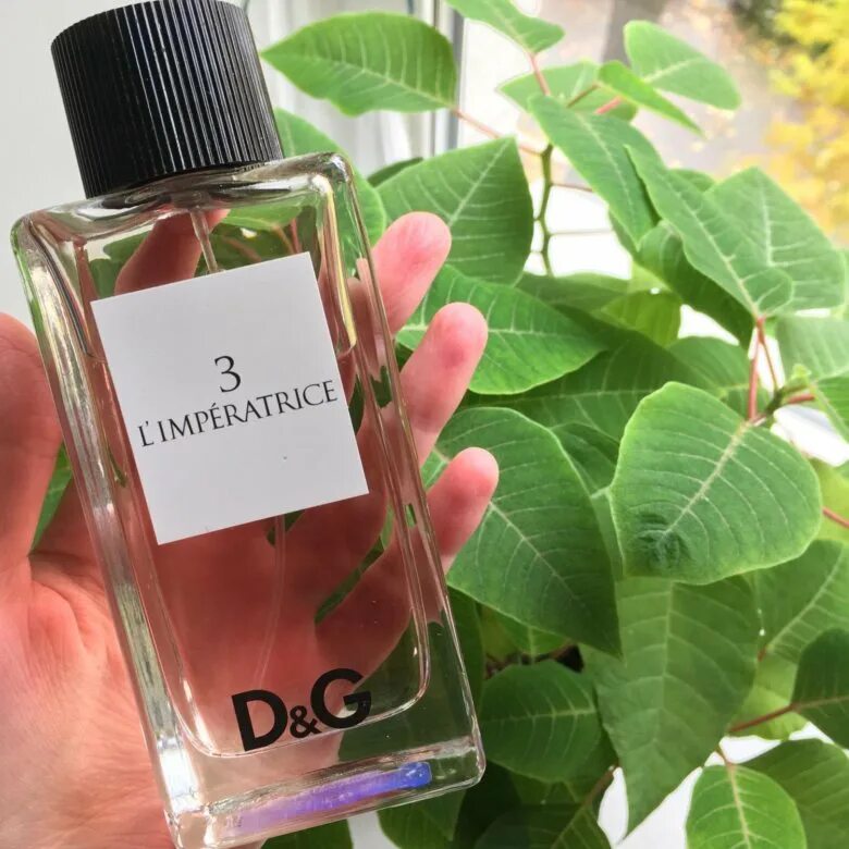 Дольче габбана императрица 50. Dolce Gabbana 3 l Imperatrice 100ml. Dolce Gabbana l'Imperatrice 3. Dolce Gabbana l'Imperatrice 3 100 мл. Dolce Gabbana l Imperatrice Eau de Toilette 3.