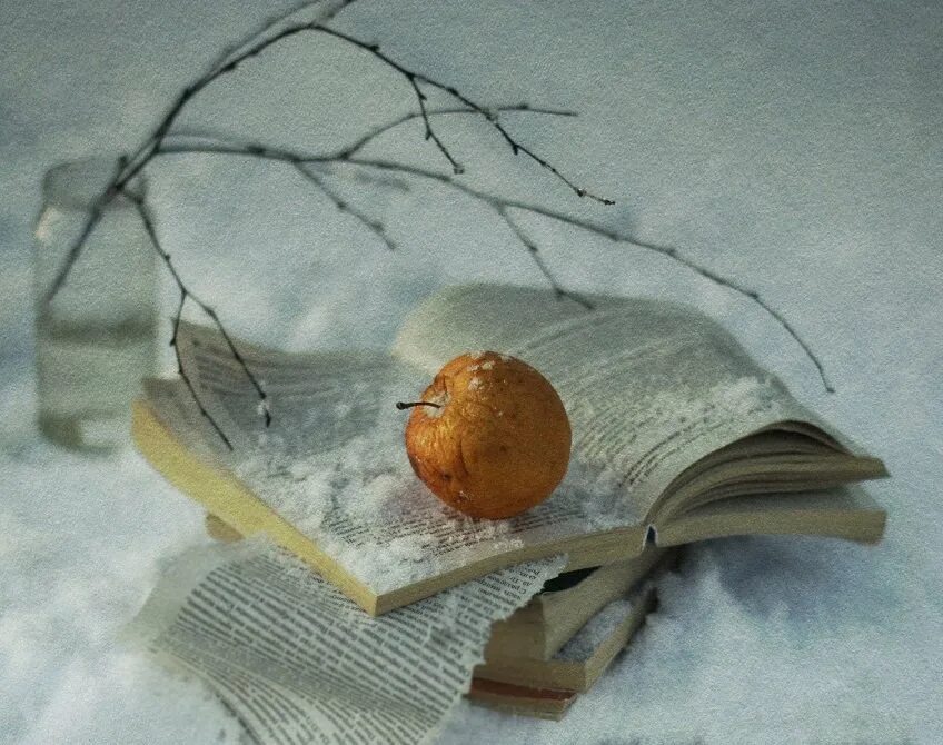Книга зима картинки