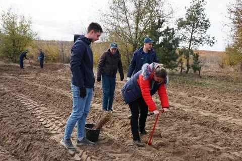 Сайт облкомприроды волгоградской