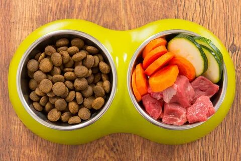 Сухой корм и мясо можно собакам