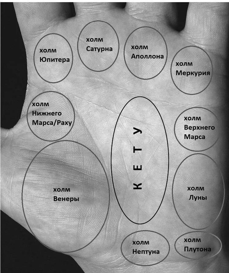 Бугор Сатурна на ладони хиромантия. Холм Венеры Луны Марса на ладони. Холм Сатурна хиромантия. Холмы на ладони хиромантия.