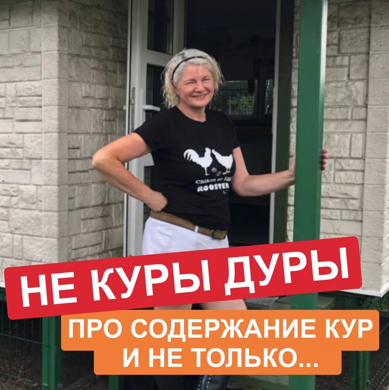 Три курицы. Мои вы курочки. Курочка и дурочка картинка. Куры не дуры. Куры не дуры.