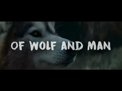 Metallica wolf