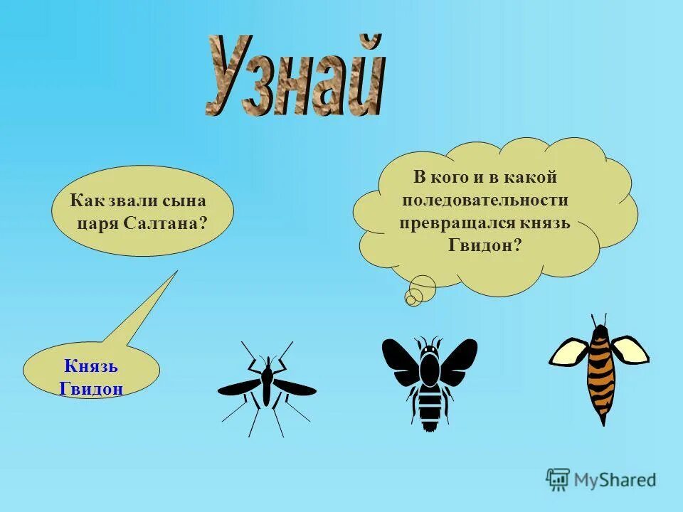 в кого превращался гвидон. в каво преврощялся князь гвидон. превращения гвидона. картинки в кого превращался царь гвидон. сказка о царе салтане коар.
