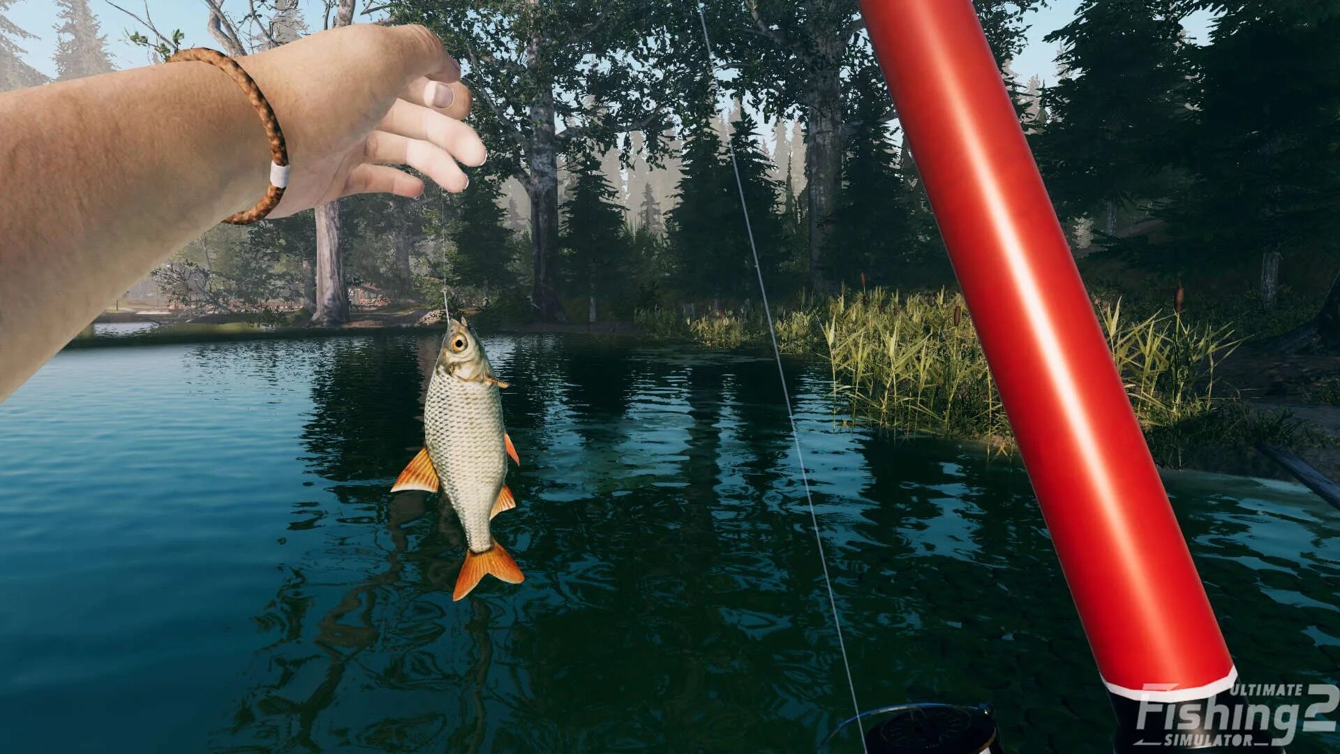 Ультимат фишинг. Ultimate fishing simulator. ультимейт фишинг симулятор 2. алтимейт фишинг симулятор. ультимейт фишинг симулятор 4.