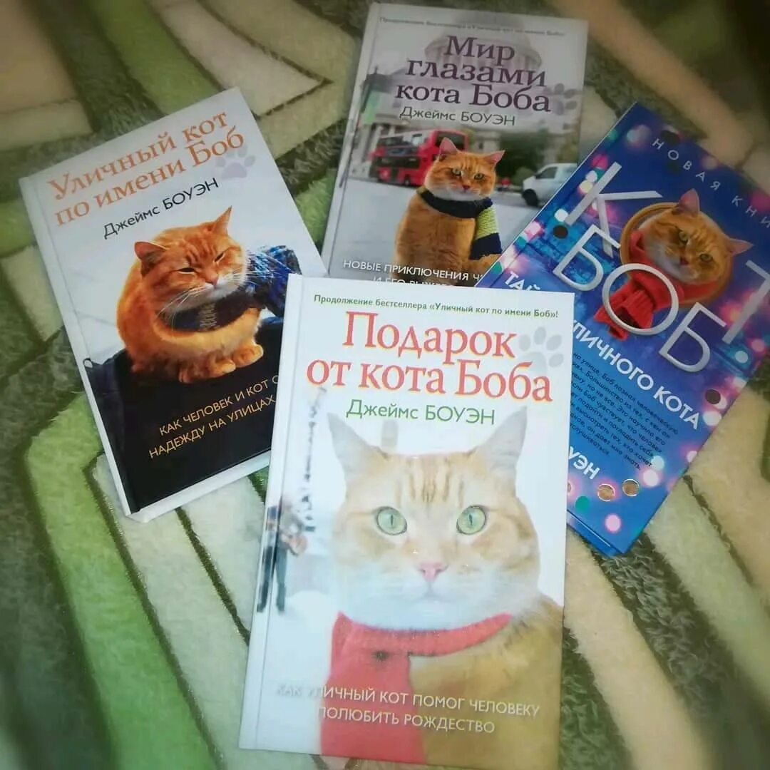 Книга кот боб читать. Боуэн мир глазами кота боба. боуэн мир глазами кота боба книга. приключения кота боба книга.