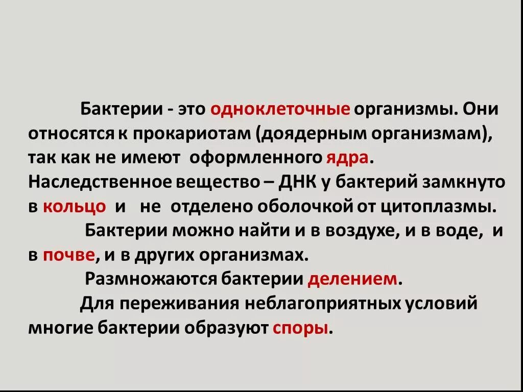 Бактерии относят к прокариотам так. Бактерии относятся к доядерным организмам. Бактерии относятся к прокариотам так как они имеют. Бактерии это организмы они относятся к прокариотам.