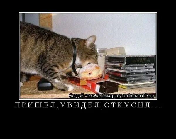 Увидел возбуждался. Флирт с мужчиной по переписке. Увидел возбуждался. Возбудить девушку словами. Увидел возбуждался.