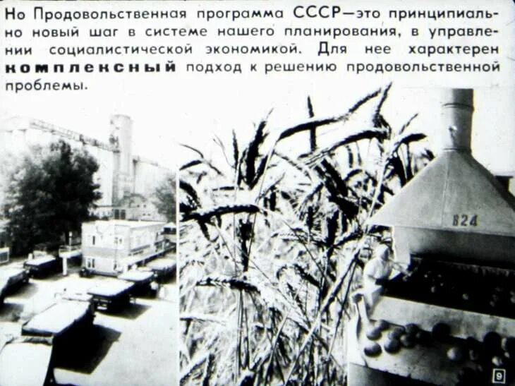 Продовольственная программа принята в каком году. Продовольственная программа ссср 1982. принятие продовольственной программы ссср. продовольственная программа брежнева.