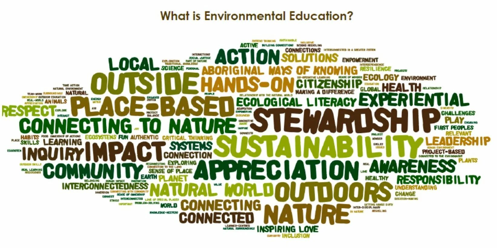 Environmental principles. Environmental education. environmental education education. environmental education day. what is environment.