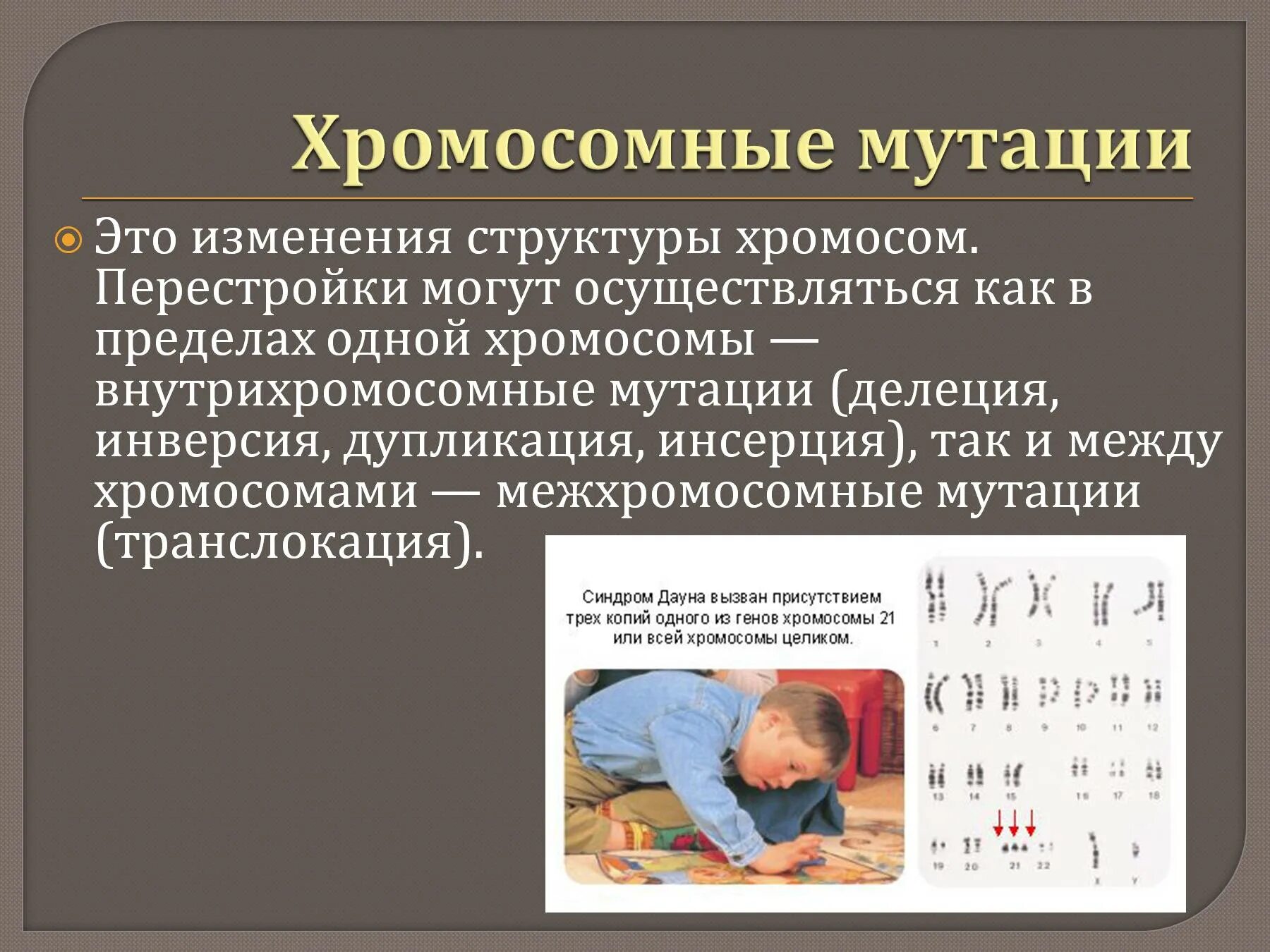 Хромосомные мутации. Мутационная изменчивость хромосомные мутации. Хромосомная мутационная изменчивость. Хромосомные мутации примеры. Изменение количества хромосом мутация