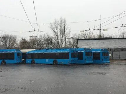 Васильченко курск